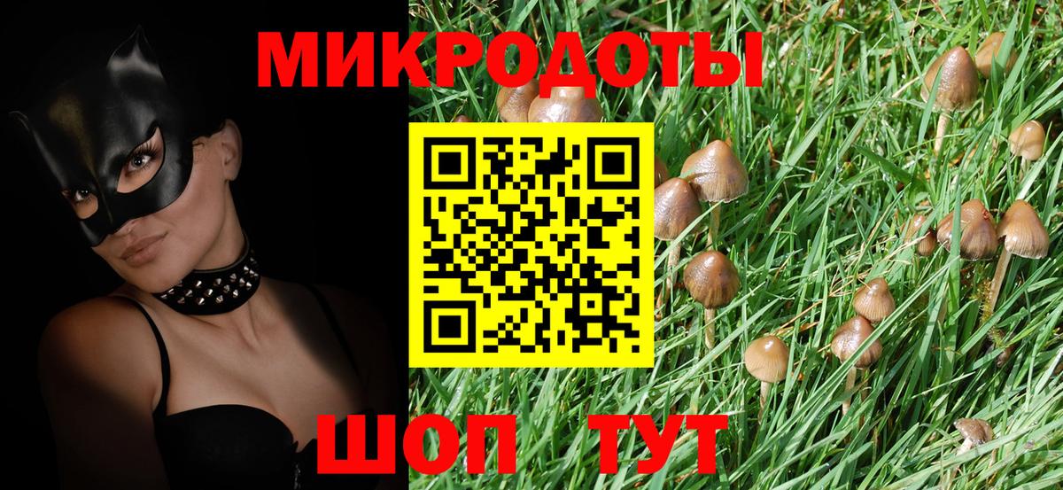 Псилоцибиновые грибы мухоморы Магадан