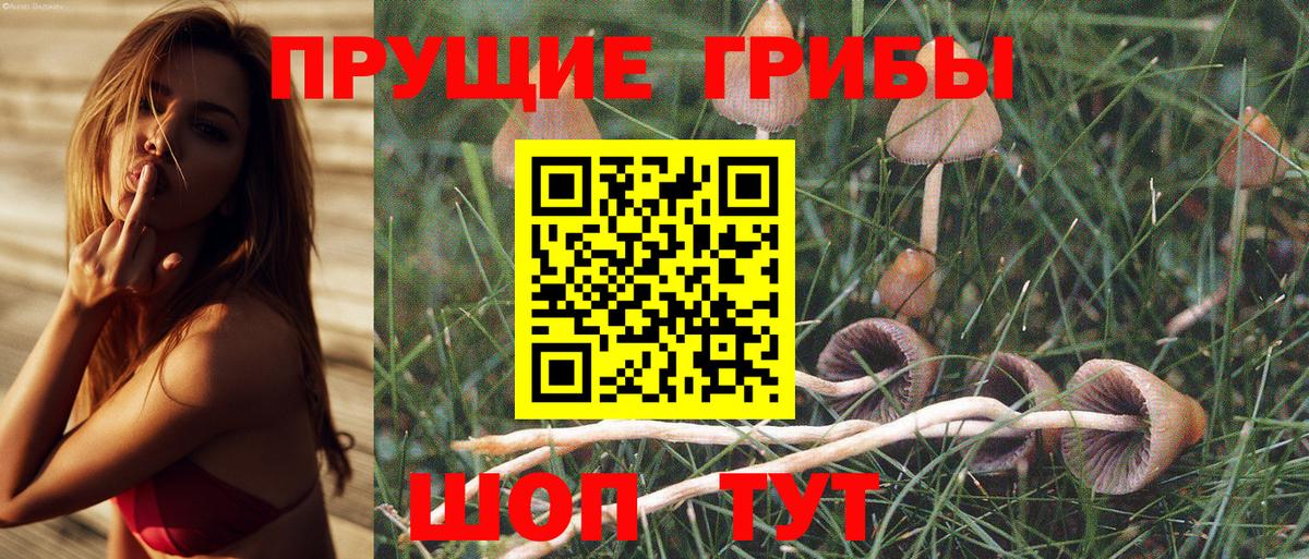 Кокаин  Бошки Шишки  Магадан  Вход с VPN  ГАШИШ  Кетамин  Вейп ТГК  Мефедрон  Мефедрон  
