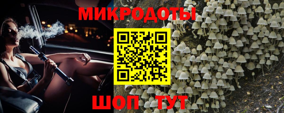 Магадан  Галлюциногенные грибы GOLDEN TEACHER  Вход с VPN  Псилоцибиновые грибы мухоморы 